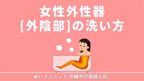 女陰毛|女性の外性器